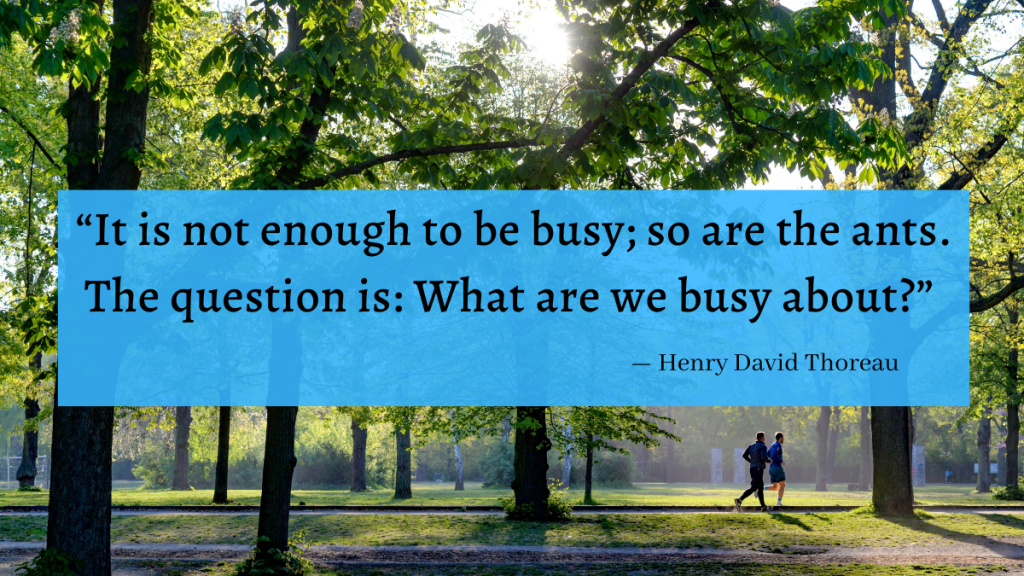 “It is not enough to be busy; so are the ants. The question is: What are we busy about?” - Henry David Thoreau