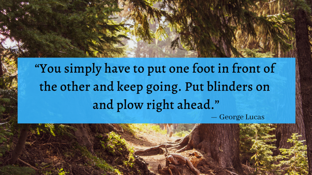 “You simply have to put one foot in front of 
the other and keep going. Put blinders on 
and plow right ahead.” - George Lucas